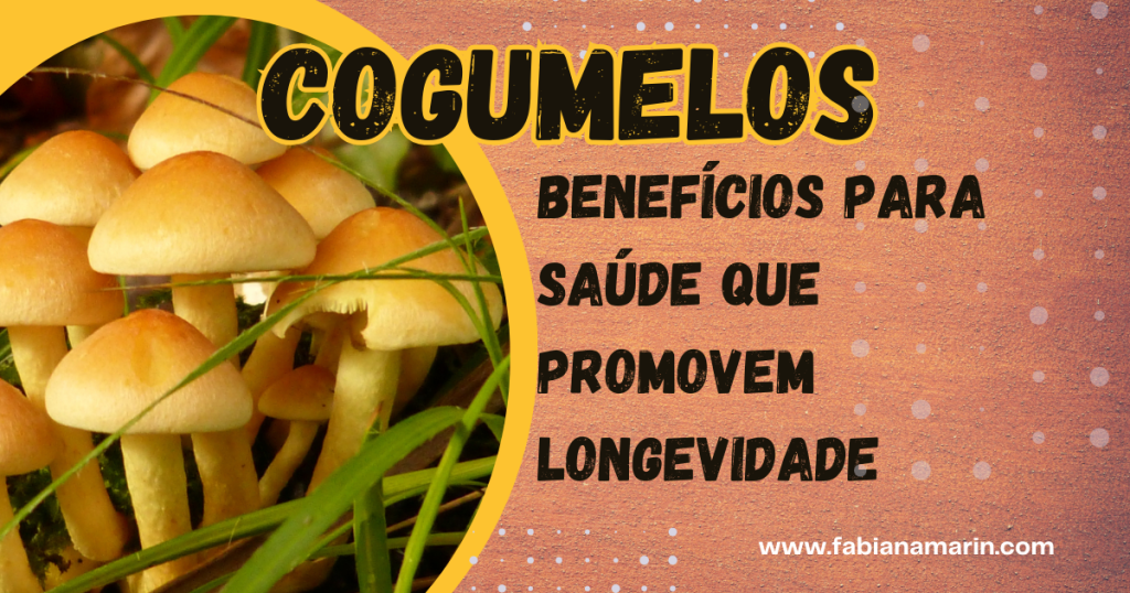 Cogumelos Benefícios para Saúde que promovem Longevidade